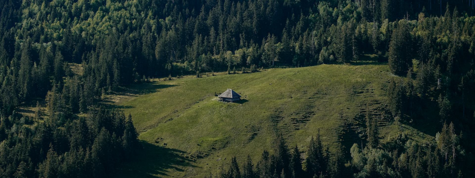 Screenshot 2026 02 09 at 17 52 33