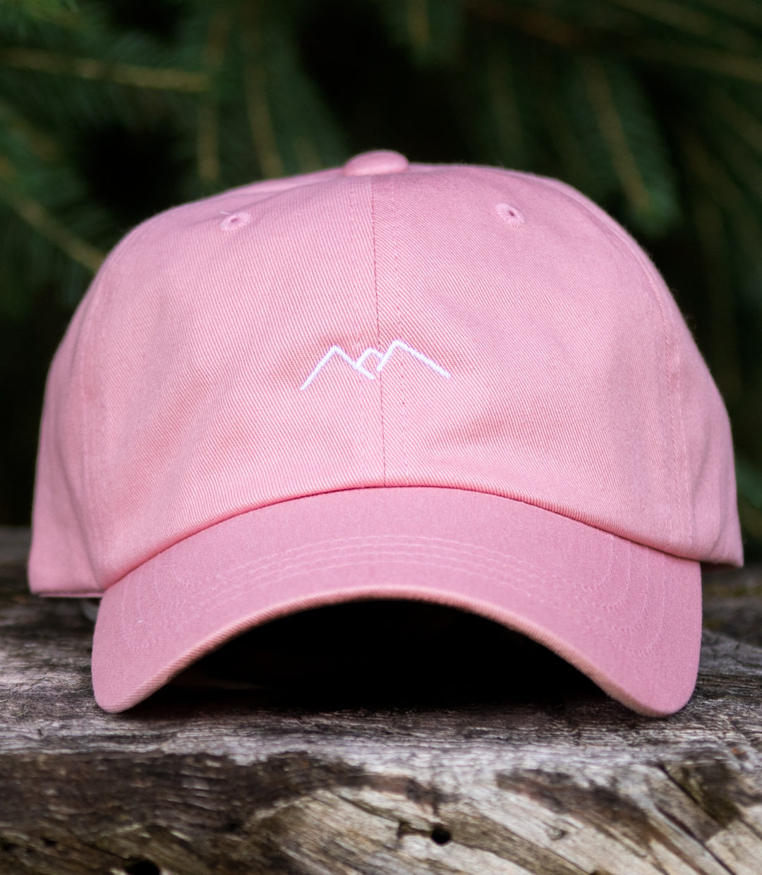 Dad Cap Mountain P