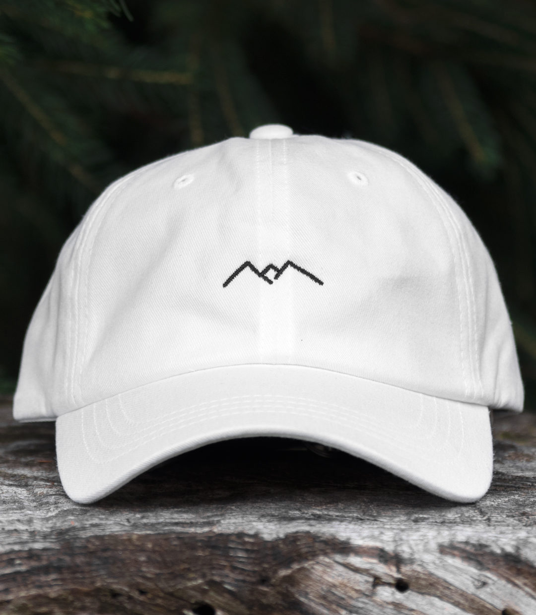 Dad Cap Mountain W